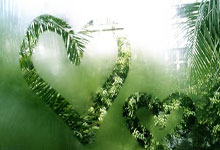 大巴黎对决巴萨，谁能在欧冠赛场笑到最后？